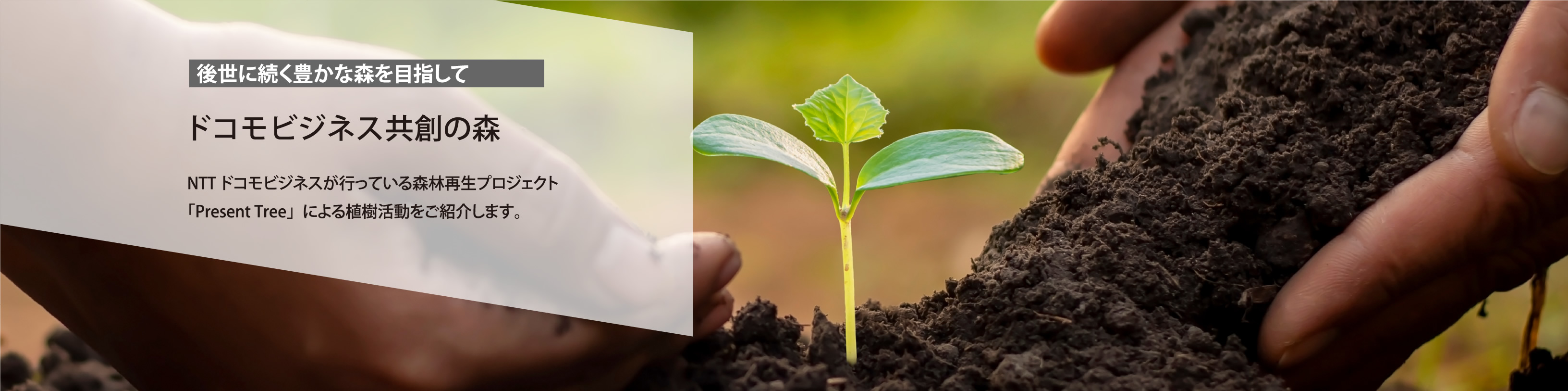 ドコモビジネス共創の森 NTTドコモビジネスが行っている森林再生プロジェクト「Present Tree」による植樹活動をご紹介します。