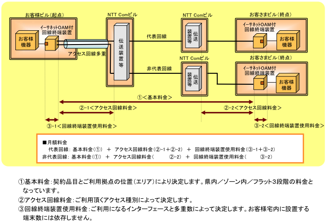 （２）ポイント・ツー・マルチポイント接続（アクセス回線多重サービス利用）の場合