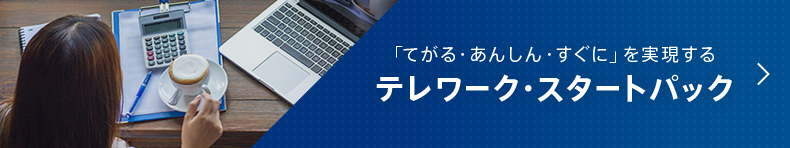 「てがる・あんしん・すぐに」を実現する　テレワーク・スタートパック